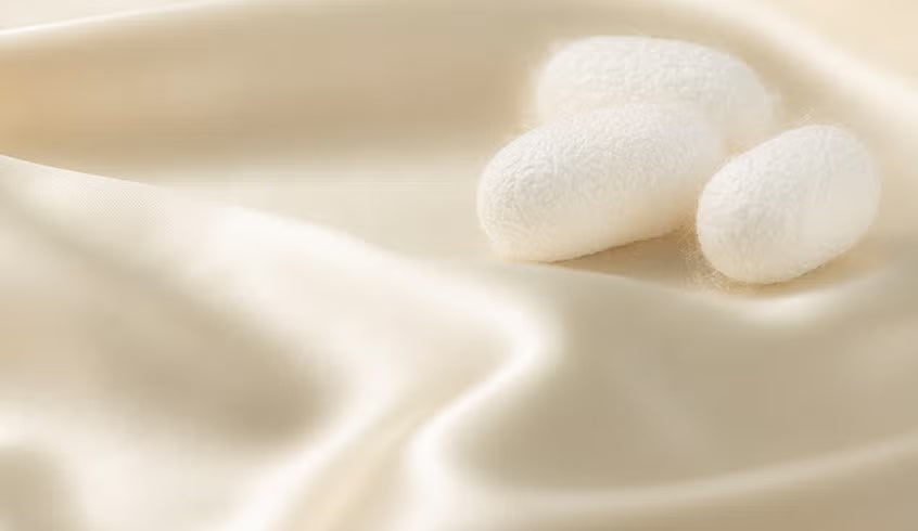 シルクってなあに？🕊